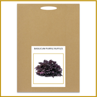 BASILICUM - PURPLE RUFFELS - ZADEN