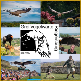 ROOFVOGELSHOW - 33 KM