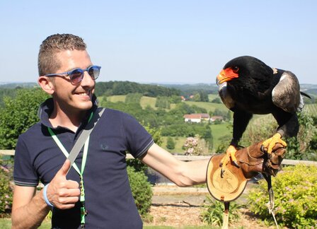ROOFVOGELSHOW - 33 KM