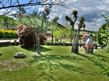 DIERENTUIN - 27 KM