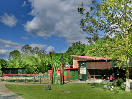 DIERENTUIN - 27 KM