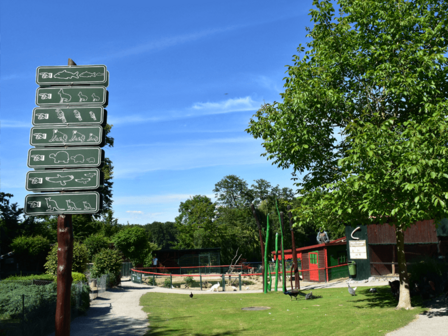DIERENTUIN - 27 KM