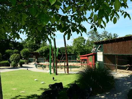 DIERENTUIN - 27 KM