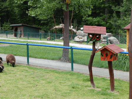 DIERENTUIN - 27 KM