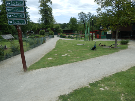 DIERENTUIN - 27 KM