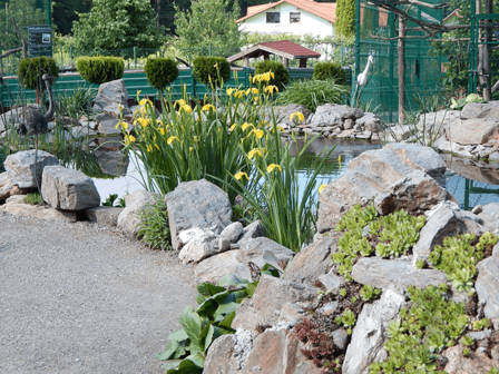 DIERENTUIN - 27 KM