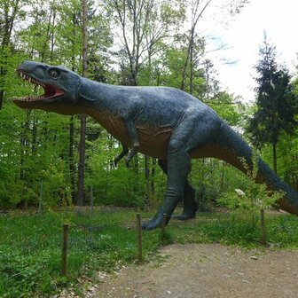 DINOPRETPARK - 21 KM