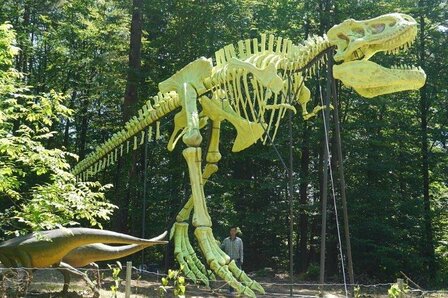 DINOPRETPARK - 21 KM