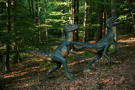 DINOPRETPARK - 21 KM