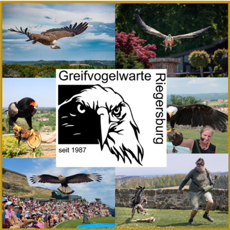 ROOFVOGELSHOW - 33 KM