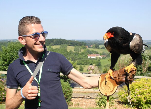 ROOFVOGELSHOW - 33 KM