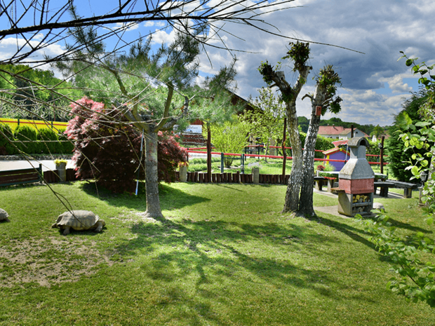 DIERENTUIN - 27 KM