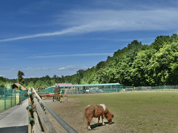 DIERENTUIN - 27 KM