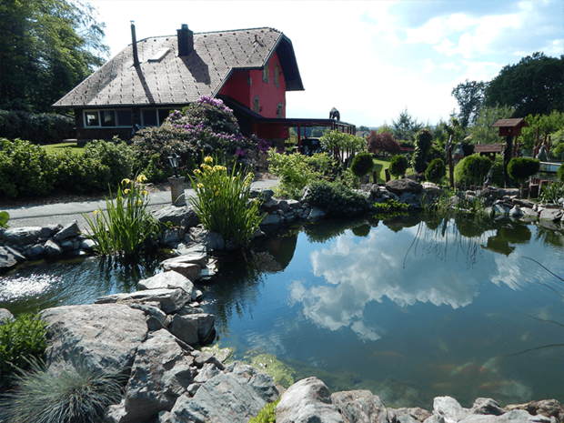 DIERENTUIN - 27 KM
